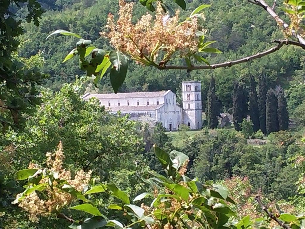 Le Pietre Ricce B&B Roccamontepiano Exterior photo